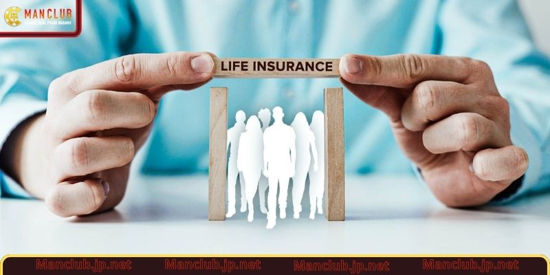 Bộ văn bản điều khoản và điều kiện chuẩn